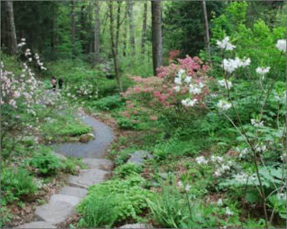 Garden in the woods framingham