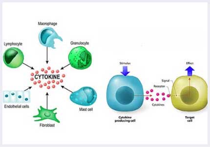 cyctokines for stem cell treatment