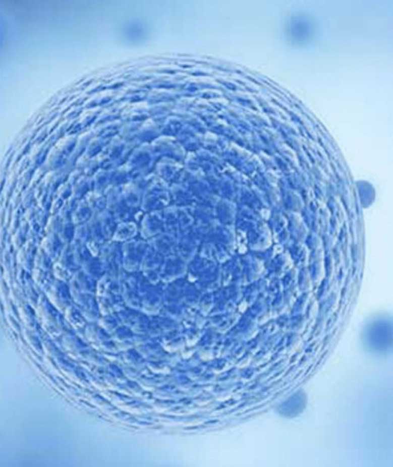 Stem Cell Treatment